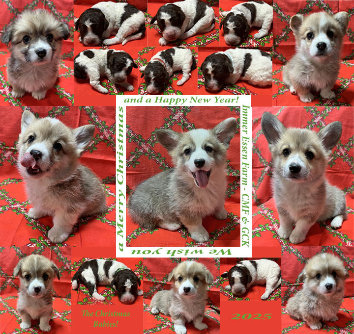 HAPPY
          HOLIDAYS 2025